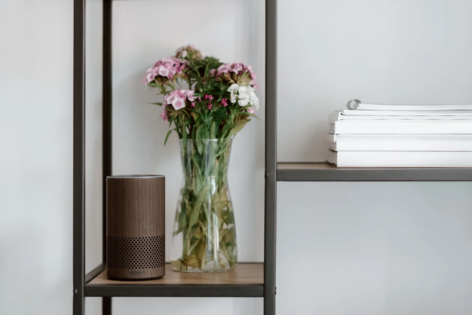 Smart speaker in a home setting