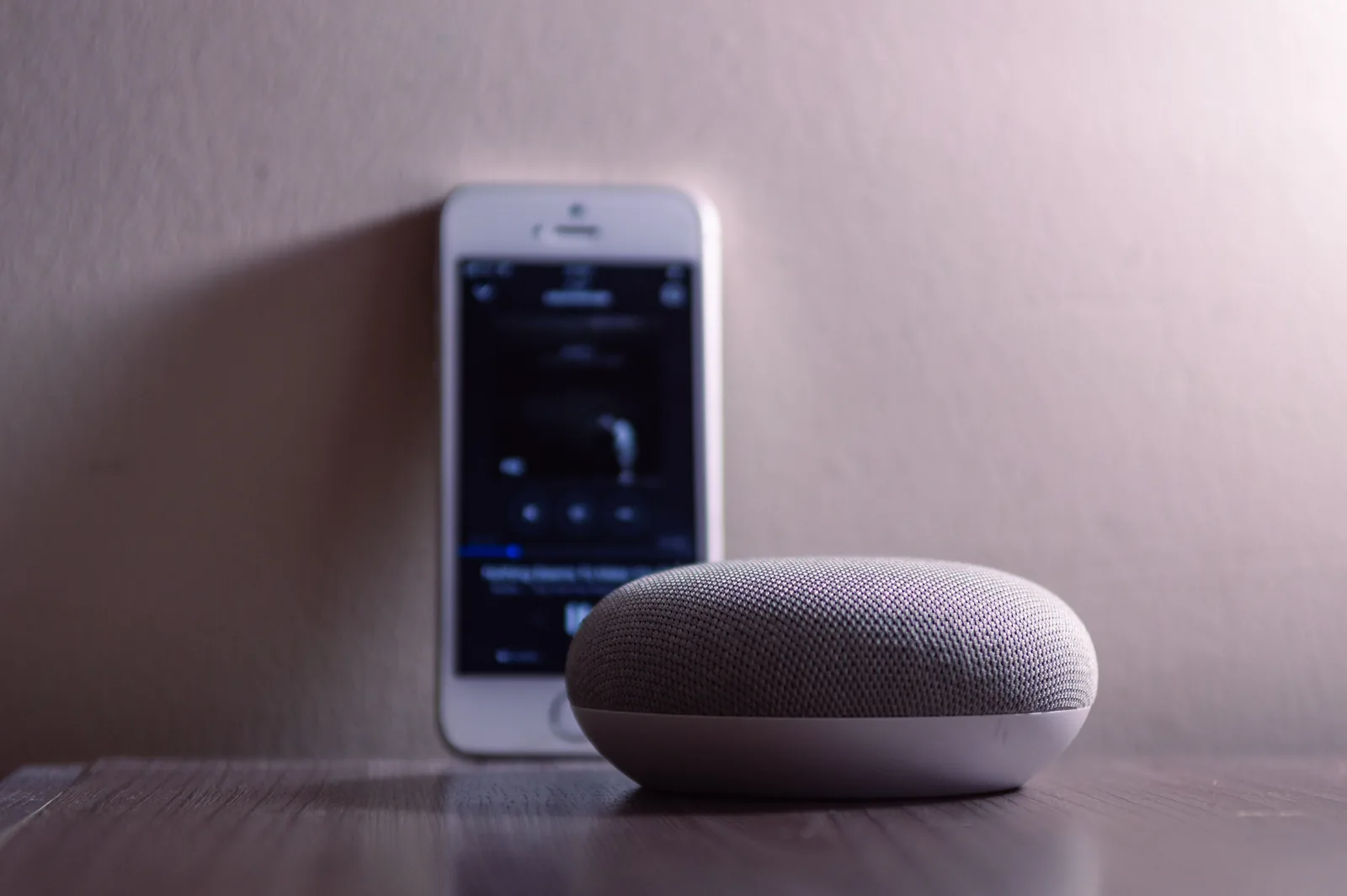 Smart speaker and smartphone